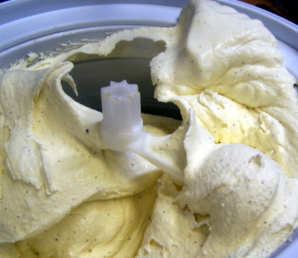Old Fashioned Vanilla Ice Cream