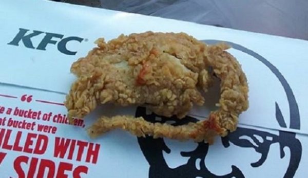 Employees Record KFC Conditions. You Won’t EVER Eat There Again After Watching THIS.