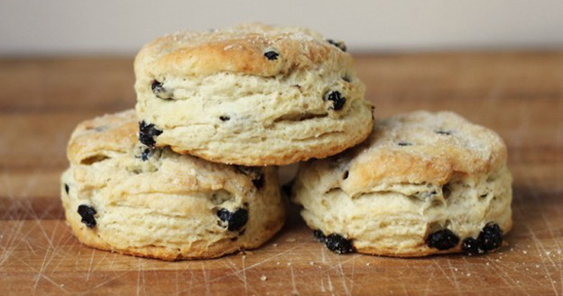 Blueberry Biscuits 1