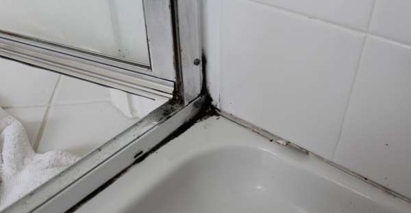 How to Clean Your Black Shower Mold for Good