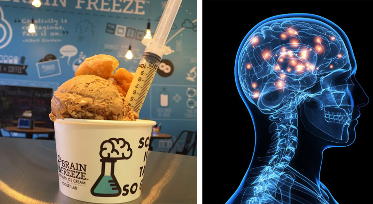 brain on ice cream