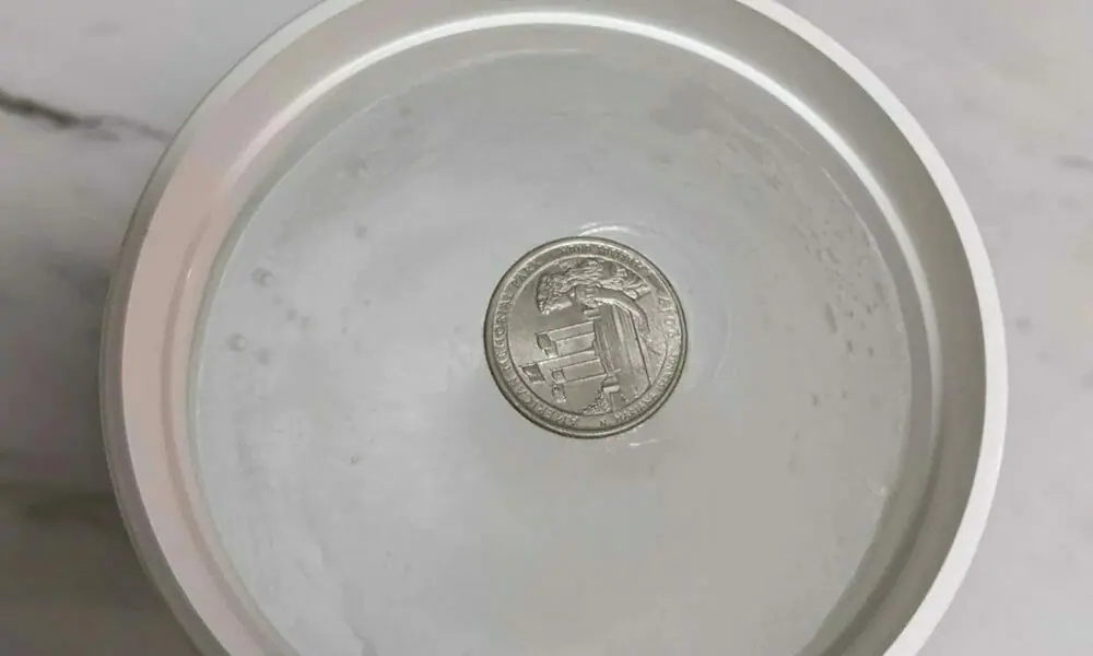 Put a quarter on a cup of ice 005