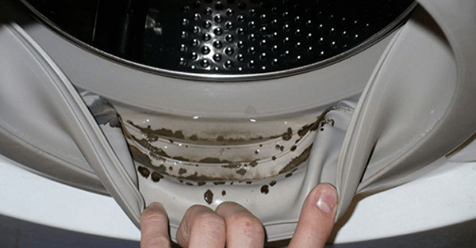 How to Remove Dangerous Mold and Unpleasant Odors from Your Washing Machine with 2 Ingredients!