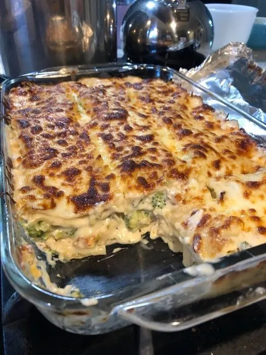Chicken and Broccoli Lasagna Recipe 1