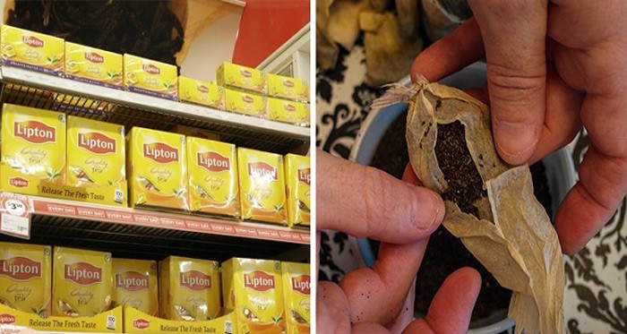 Most Popular Tea Bags Contain Illegal Amounts Of Deadly Pesticides (Avoid These Brands At All Costs)