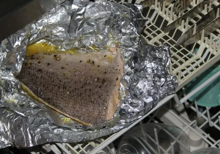 She put uncooked salmon in her dishwasher, the result will blow you away