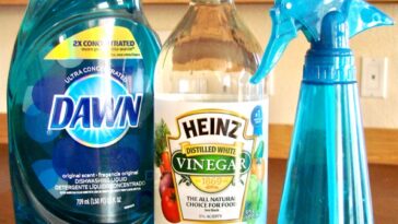Homemade Glass Cleaner with Vinegar