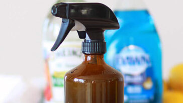 stain remover spray homemade