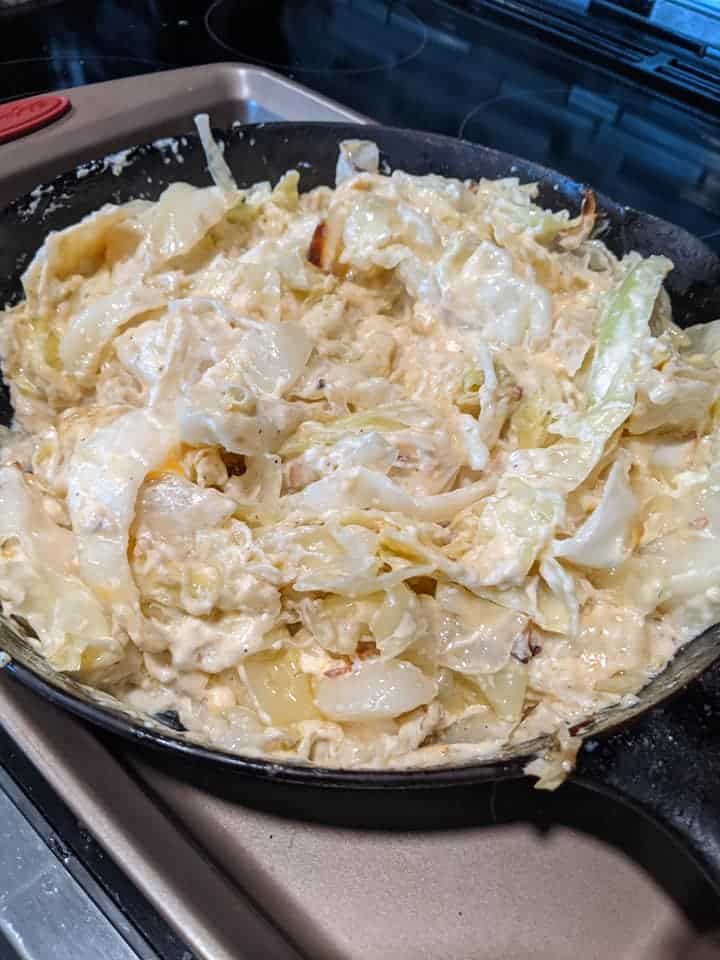 Cabbage Alfredo Recipe