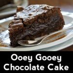 Ooey Gooey Chocolate Cake