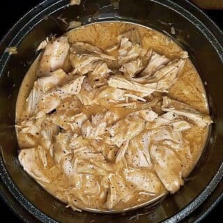 Easy Crockpot Chicken with Gravy Recipe: A Family Favorite