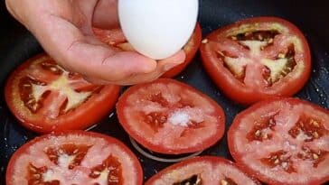 1 Tomato with 3 Eggs! Quick Breakfast in 5 Minutes. Super Easy and Delicious Omelet Recipe