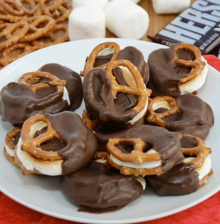 Pretzel S’Mores Bites 1 Pretzel SMores Bites 758x771 2