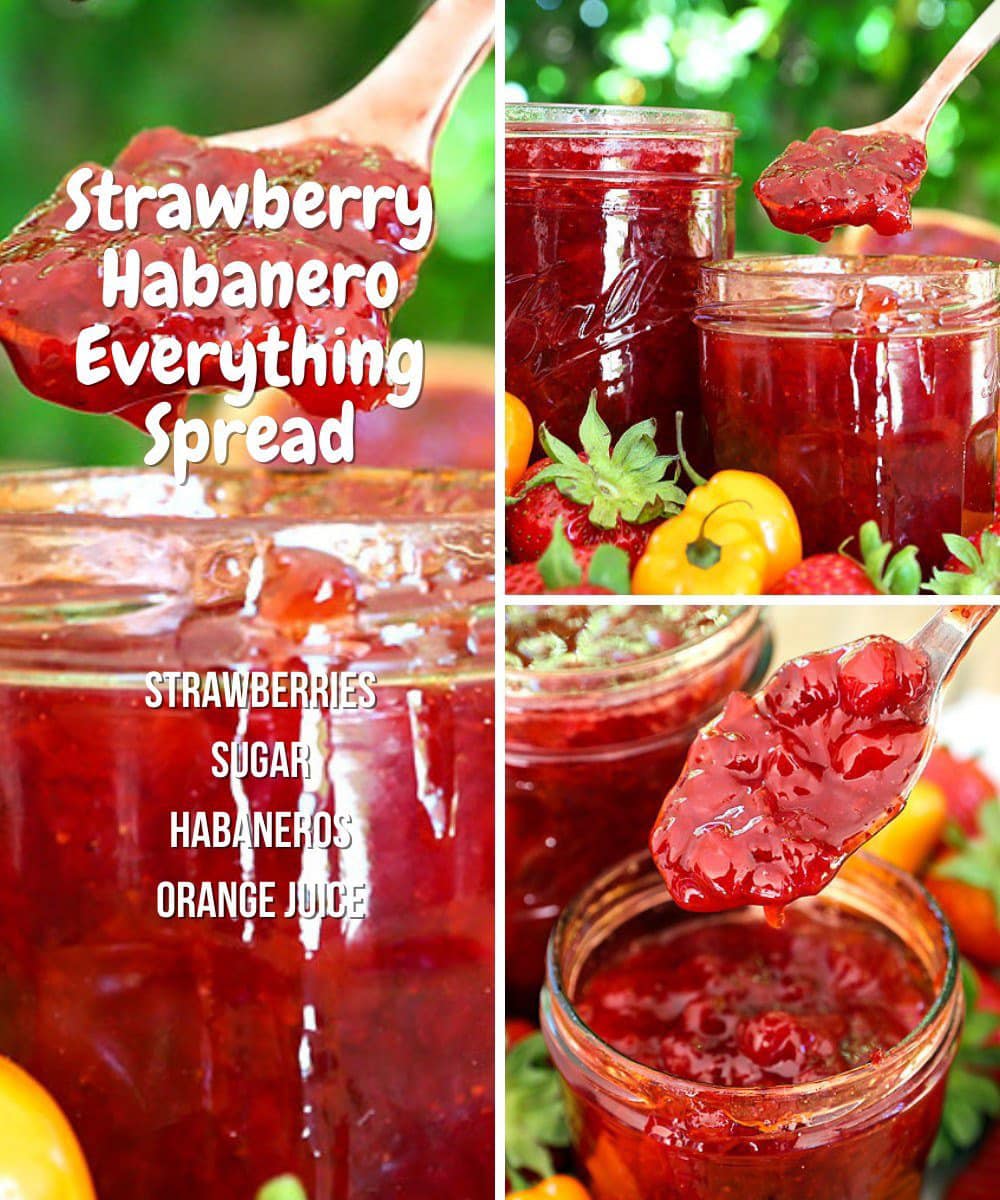 STRAWBERRY HABANERO EVERYTHING SPREAD