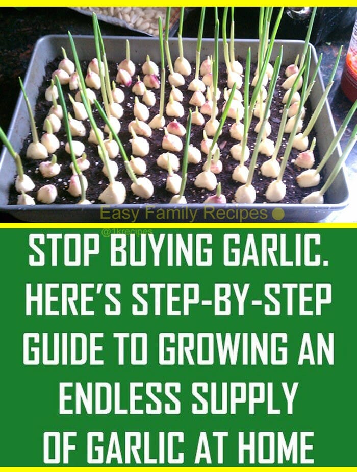 Zucchini Garlic Bites 6 lead generation companies
factoring company
mba in marketing
b2b ecommerce
line for business
mba in hr
business website
corporate development
it company
b2b business
e business
ecommerce business
business management
business site
google my business listing
apply for llc
sap bi
business continuity
internet marketing company
reengineering
digital marketing company
online marketing agency
small business funding
accounting services
digital marketing agency
bpm software
mlm software
sap bw
google business listing
llc
e commerce companies
online selling
business to consumer
accountant near me
business process outsourcing
social business
business process outsourcing
social business
marketing company
business continuity management