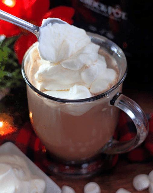 CROCK POT HOT CHOCOLATE