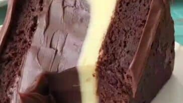 Chocolate Cake Swiss