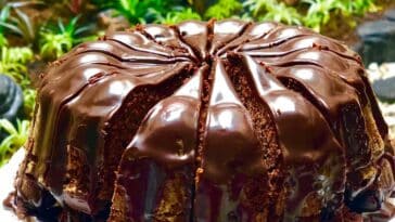 Sourdough Chocolate Cake