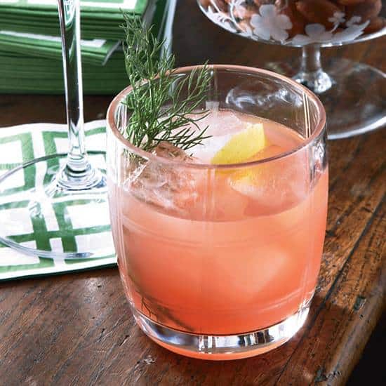 Campari-Fennel Aperitif 3 Campari-Fennel Aperitif