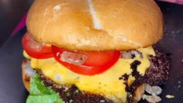 Burger with the Lot
