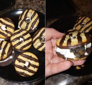 Fudge-Striped S’mores Delight
