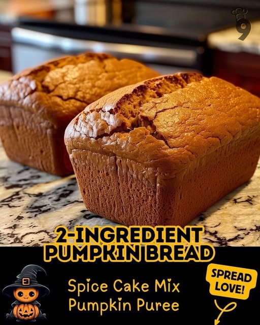 2 Ingredient Pumpkin Bread Recipe 1
